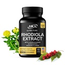 Rhodiola Rosea Supplement High Potency Extract 500mg - 3% Rosavins 1% Salidrosides z Ashwagandha Shisandra Passion Flower Herb Powder Kapsułki - Naturalny sposób łagodzenia stresu - Pigułki dla energii
