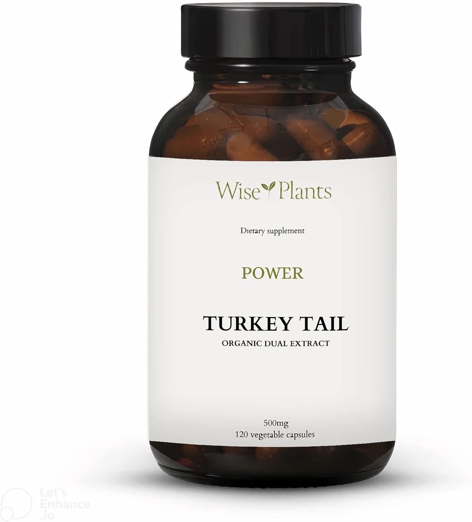 Indyk Tail Mushroom Supplement. Dual Extract, Pure Fruiting Body, 30% Polisacharydy, 500 mg, 120 wegecaps (60- Day Supply). Może wspierać zdrowe funkcje immunologiczne