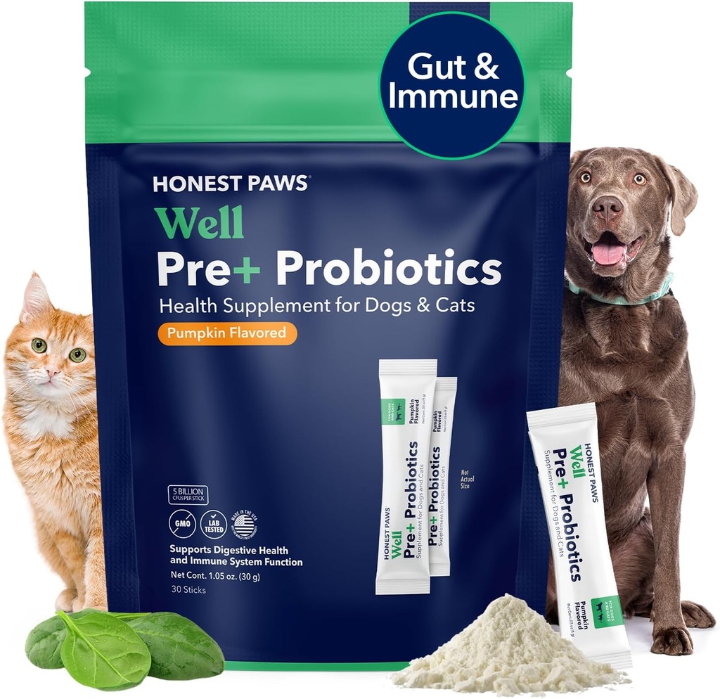 Szczere Łapy Probiotyki dla psów - Dog Pokarm Gut Zdrowie Probiotyczny Proszek z prebiotykiem Made in USA, Pomocnictwo pokarmowe i immunologiczne - Enzymy trawienne z aromatem dyni (30 Sticks)