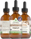 RawGuru Organic Mushroom Complex Tincture - Organic Mushroom Extract with Trace Minerals - Nanoprocessed Cognitive & Immunous Supplement - 60 Servings of Vegan Drops per 60 ml, Opakowanie 1