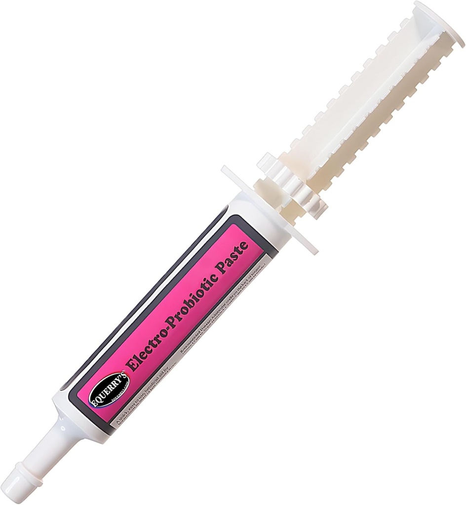 Equerry 's Electro- Probiotic Paste for Horses - 30g Budapest 124; Equine Probiotics & Electrolytes for Stressed Horses Budapest 124; Easy Oral Syringe Bridge 124; Made in USA
