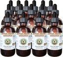 Cynamon Bezalkoholowy ekstrakt płynny, Cynamon (Cinnamomum verum) Suszony Bark Glicerite Hawaii Pharm Natural Herbal Supplement 15x4 oz