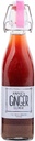 Annie 's Ginger Elixir, 17oz 1-Pack, Pure Natural Organic Tonic Ginger Shot, Digestive Cleanse zwiększa odporność, Daily Gut Health and Wellness, Napoje Non-GMO