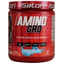 iSatori Amino- GRO BCAA Proszek, Aminokwasy rozgałęzione z glutaminą, proszek elektrolitowy i bio- GRO Bio- Aktywne peptydy dla Muscle Growth & Post Workout Recovery, Blue Razz Snow Cone (30 Służenie)