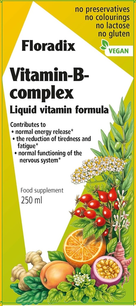Floradix Witamina B Złożona postać płynna, 250 ml