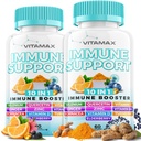 10- in-1 Wsparcie immunologiczne z Elderberry, D3, Selenium, Quercetin, Cynk, Witamina C, Ginger, Kurkumina turmerowa, B6, Echinacea - Immune Defense - Made in USA (60 Hrabia (Pack of 2))