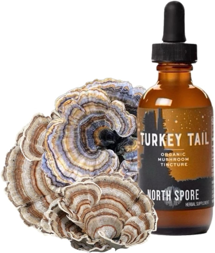 North Spore Organic Turkey Tail Tincture Budapeszt 124; Mushroom Supplement for Immune Wellness Wellness Wellness 124; Sustainable Grown & Refirmed for Potency Budapest 124; Trametes Versicolor Extract Egy124; Vegan, Non-GMO - 2oz