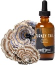 North Spore Organic Turkey Tail Tincture Budapeszt 124; Mushroom Supplement for Immune Wellness Wellness Wellness 124; Sustainable Grown & Refirmed for Potency Budapest 124; Trametes Versicolor Extract Egy124; Vegan, Non-GMO - 2oz