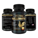 Gallobiotic Natural Multivitamin for Rooster, Hens - 100 Tablets Of 124; Vitamina Completas para Gallos