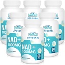 Liposomal NAD + Suplement 1000 mg