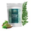 Moringa Leaves Powder Oleifera Leaf Shigru Wielki w napojów i koktajle 16 unce