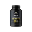 Ancient Nutrition SBO Probiotic Trinity Daily Care, Probiotyki dla zdrowia trawiennego, 40 Miliard Mieszanki Prebiotyki, Probiotyki, Postbiotyki, i Parabiotics Redukuje sporadyczne Bloating, 60 Hrabia