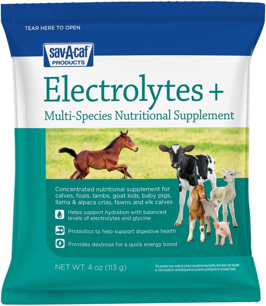 Sav- A- Caf XI124; Electrolytes Plus Multi- Species Supplement XI124; 4 unces (4 OZ) Packet