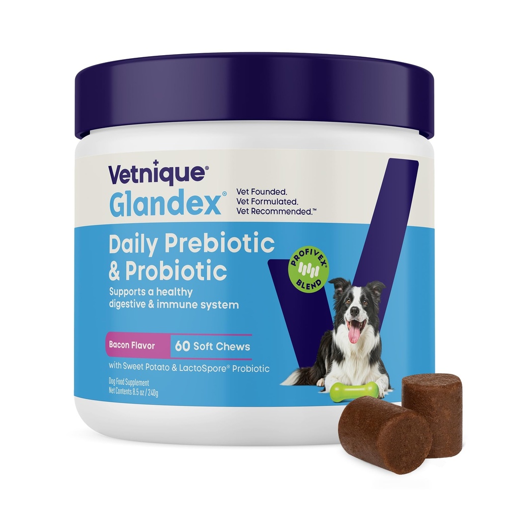 Vetnique Glandex Daily Probiotics dla psów z prebiotykami do wspierania zdrowia Gut z włóknami i enzymami, Probiotic Chews lub proszki (60ct Chews, Bacon Chews)