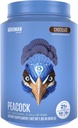 BIRDMAN Peacock Vegan Protein Powder Dodać 124; Kompletny roślinny posiłek oparte Shake zastępujący z magnezu, Witamina D, MCT oleju 124; Wszystko w jednym suplemencie dla mężczyzn i kobiet 124; Płynny tekstura 124; Smak czekolady