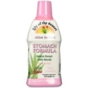 Lily of The Desert Stomach Formuła, Organic Aloe Vera Sok z śliskim Elm, Rumianek, Peppermint i Ginger dla Gut Health, Refluks kwasowy, Heartburn Relief, 32 Oz