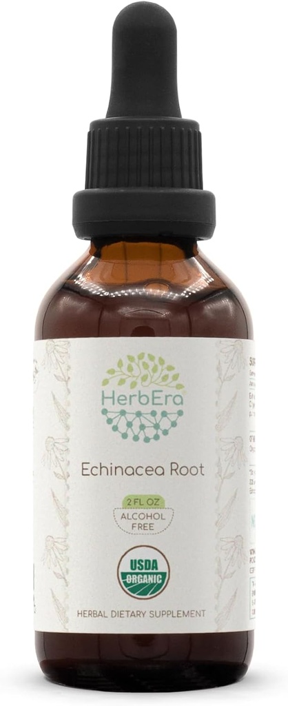 HerbEra Echinacea Root B60 USDA Organic Tincture Orange 124; Alcohol-Free Extract, High- Potency Herbal Drops, Immune System Health British 124; Certified Organic Echinacea Root (Echinacea Purpurea) Dried Root (2 fl oz)