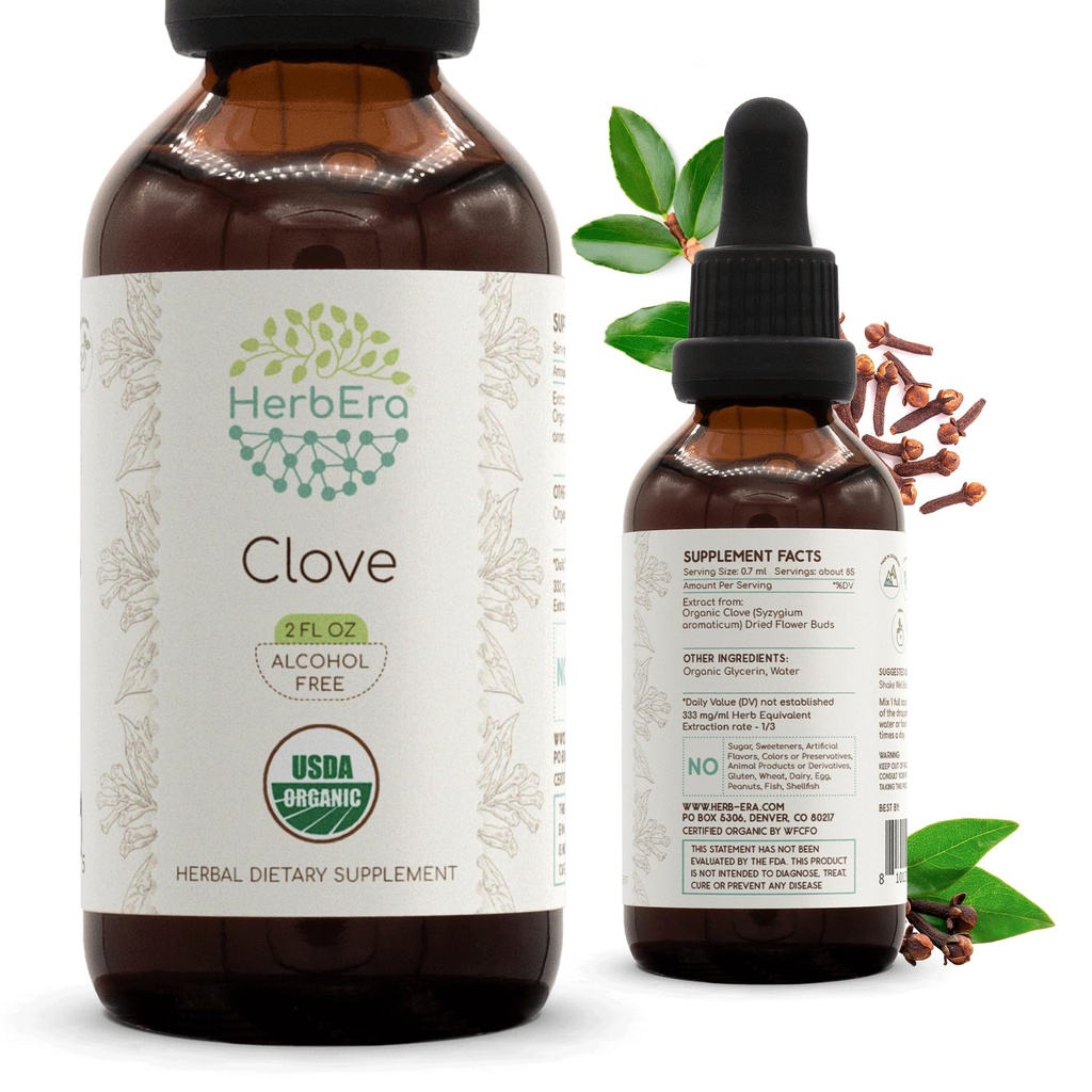 HerbEra Clove B60 USDA Organic Tincture Orange 124; Alcohol- Free Extract, High- Pottency Herbal Drops, Immune System Health Department 124; Certified Organic Clove (Syzygium Aromaticum) Suszone pąki kwiatowe (2 fl oz)