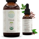 HerbEra Clove B60 USDA Organic Tincture Orange 124; Alcohol- Free Extract, High- Pottency Herbal Drops, Immune System Health Department 124; Certified Organic Clove (Syzygium Aromaticum) Suszone pąki kwiatowe (2 fl oz)