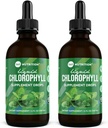 360 Chlorofil odżywczy krople płynne z olejem z mięty pieprzowej, GF & Wegan Body wewnętrzny suplement deodorowy, Wspiera Gut zdrowia, trawienie, energia, Promieniowa skóra, Szybka absorpcja (4 Fl Oz (2 Count))