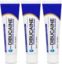 (3 Pack) Globe Dibucaine 1% Hemorrhoid Treatment Maintment - 1 Oz Rapid Numbing Relief, Hemorrhoid Treatment from Itch and Burn