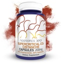 Nootropics Depot Cistanche Ekstrakt nadkrytycznego CO2 Kapsułki 124; 20% Echinakozydu + 20% Werbaskozydu (acetozyd) 124; 60