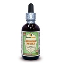 Herbal Terra LLC Stinging Nettle (Urtica Dioica) Glycerite, Organic Dried Leaves Alcohol Free Liquid Extract 2 oz
