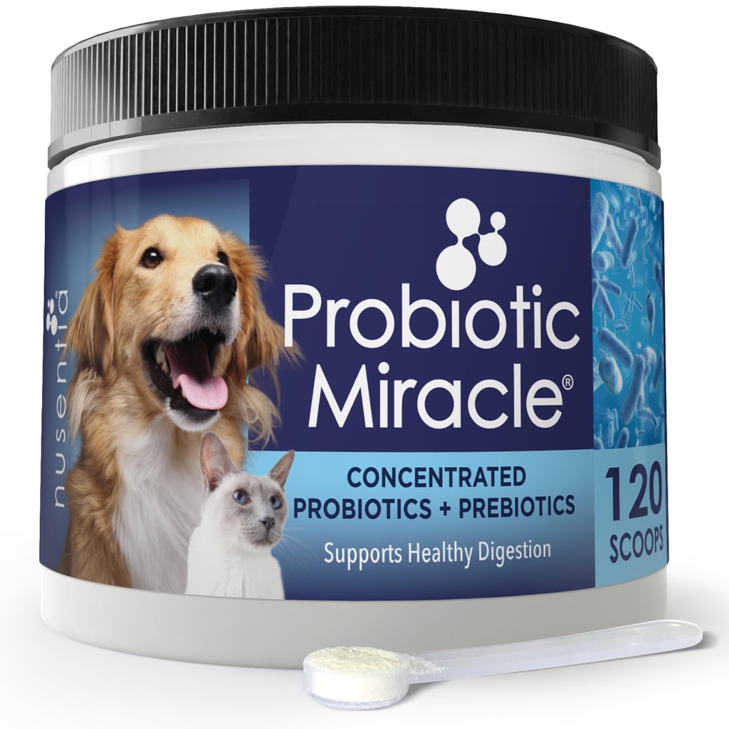 Probiotyki dla kotów i psów: Probiotyczne Cud: Wnętrza i Gut Wsparcie: Digestive Health: Stop Biegunka, Loose Stool