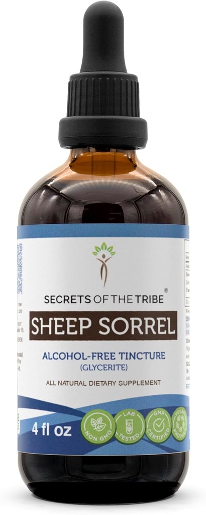 Ekstrakt bez alkoholu z owiec Sorrel (Rumex Acetosella) Suszony Herb Tincture Supplement 4 oz