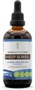 Ekstrakt bez alkoholu z owiec Sorrel (Rumex Acetosella) Suszony Herb Tincture Supplement 4 oz