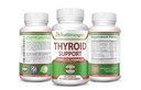Wsparcie dla tarczycy - Kompletna formuła do wspierania poziomów energii z jodu, Bladderwrack, Kelp, B12 & More- Thyroid Energy: Boost T4 do suplementu T3 - Non-GMO