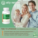 Wegański Prenatal DHA 440mg - Lutein 20mg Dla Ciąża - Nie-GMO Prenatal Multivitamine Dla kobiet w ciąży - Wsparcie zdrowego mózgu, oka i serca w rozwoju dziecka - 60 Softgels