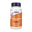 Teraz Foods Supplements, Pycnogenol 60 mg (unikalny Combo Proantocyanidyny z francuskiego sosny morskiej) z Acerola & Rutin Proszek, 50 Kapsułki Veg