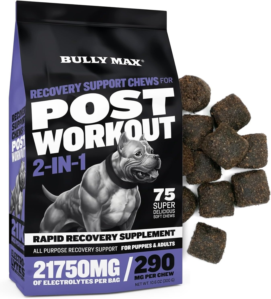 Bully Max 2-in-1 Post- Workout Recovery Support Chews - Dog Vitamin i suplement diety dla małych i dużych ras - Szczeniak i dorosły Hydration Dog & uzupełnienie elektrolitów - 75 Miękkie i smaczne Chews