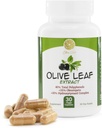 Olive Leaf Extract - 500mg - Suplement Standaryzowany do 25% Oleuropeiny - 20% Hydroksytyrozolu - 40% Polifenoli - Non- GMO + Gluten Free + Dairy Free + Soy Free + Vegan (30 kapsułki)