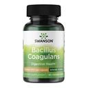 Swanson Bacillus Coagulans Spore- Form Probiotyk dla dorosłych Poszukiwana Shelf- Stable Digestive Support z 6 Miliard CFU - Acid- Resistant (60 Kapsułek wegańskich)
