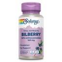 SOLARAY Bilberry Extract 160 mg, Eye Health & Circulation Support, 36% antocyanozydów Plus Blueberry, Vegan, 30 VegCaps