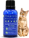 HA4E - Cat UTI Remedy - Naturalne Nerki Wsparcie dla kotów - Wsparcie Bladder & Zdrowie moczu - Oczyszczanie nerek - Non-GMO, Organic, Chemical- Free - 300 Tabletki