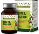 Banyan Botanicals Yogaraj Guggulu - Organic Joint Support Supplement Amendment - Ayurvedic Blend for Support The Skeletal and Neuromussum Systems * - 90 Tablets - Non-GMO, Sustainable Sourced, Vegan