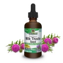 Nature 's Response Milk Thistle 2 Ounce Extract - Alkohol wolny, Nie GMO, Suplement do wsparcia wątroby dla wszystkich - Detox wątroby, Made in USA