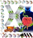 Wszystkie naturalne Detox Cleanse Instant Tea Mix Prune & Plum w. Włókno i inulina dla optymalnego tranzytu jelit przez FuXion Prunex 1 (10 Sachets)