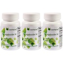 Nadmierna absorpcja Astragalozydu IV 98% Suplementy przeciwstawne dla dorosłych Wsparcie immunologiczne 50mg / Cap 90 Czapki w 3 butelce