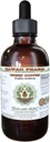 Zielony ekstrakt płynny z kawy bez alkoholu, Zielona kawa (kawa arabska) Suszona fasola Glicerite Hawaii Pharm Natural Herbal Supplement 4 oz