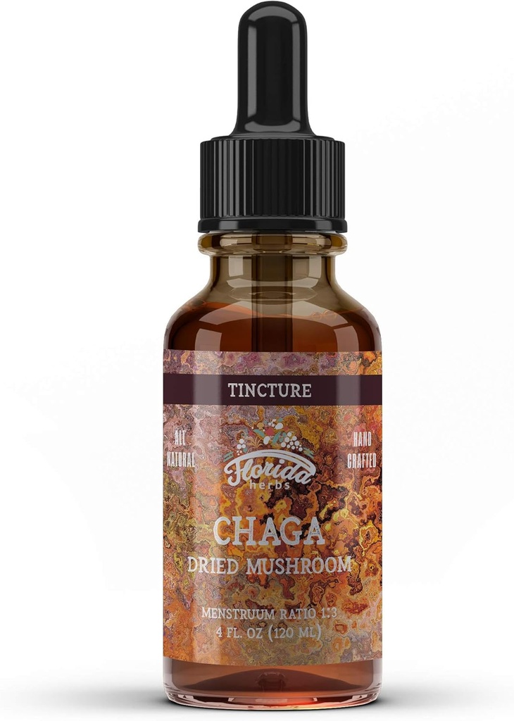 Chaga Tincture, Dziki ekstrakt Chaga (Inonotus obliquus) Suszony Mushroom