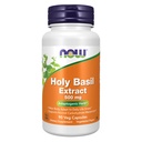 Teraz suplementy żywności, Święty Basil Extract 500 mg (Święty Basil jest świętą rośliną w Ayurveda), 90 Kapsułki Veg