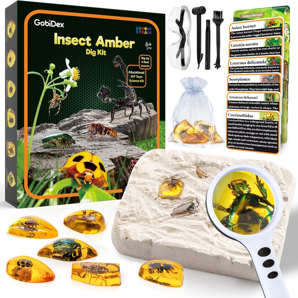 GobiDex Amber Dig Kit-Sztuczny Insect Resin, Exavate 6 Owady wzory, STEM Geograficzne Bugs zabawki edukacyjne, Exavation Zabawki dla Fun Bugs Party Favors, Science Zestawy dla dzieci w wieku 6- 8 8- 12