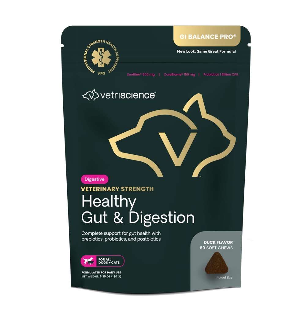 VetriScience Veterinary Strength Healthy Gut & Trawienie - Pet Digestive Health Supplement for Cats & Dogs - Gut Health & Immune Support - Funkcje Probiotyki, Prebiotyki i Postbiotyki - 60 Count