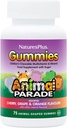 NaturesPlus Animal Parade Source of Life Gummies - Natural Orange, Grape and Cherry Flavors - 75 Animal Shaped Gummies - Whole Food Kid 's Multivitamine - Gluten- Free - 37 Servings
