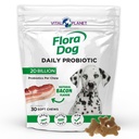 Vital Planet - Probiotyki psa Flora, Dog Chews Supplement z 20 Miliard Kultur i 11 Szczeliny, Immune i Digestive Support Chewable Probiotyki dla psów, 30 Natural Bacon Flavored Soft Chews