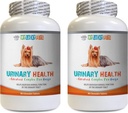 Dog Bladder Pills - Dog Urinary Health Formula - Helps with Incontinence and Bladder Issues - Immune Boost - Dog Urinary Health - 2 Bottles (180 Treats)